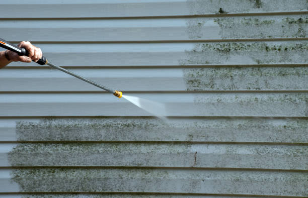 Boat and Dock Cleaning in Lake Mills, WI